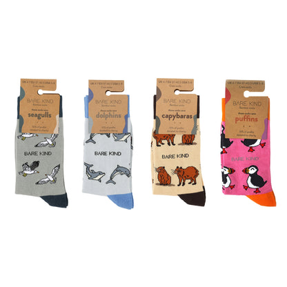 packaging flat lay of the animal antics bamboo sock set containing seagulls, dolphins, capybaras and puffin socks