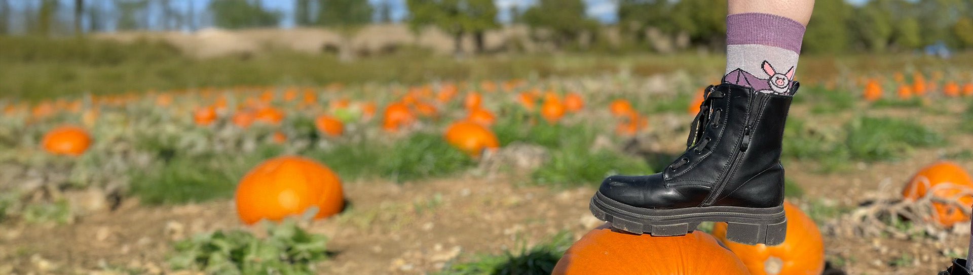 Person wearing black boots and patterned socks standing on a pumpkin in a pumpkin patch.