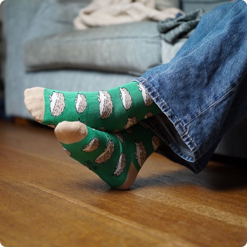 person wearing our hedgehogs bamboo socks