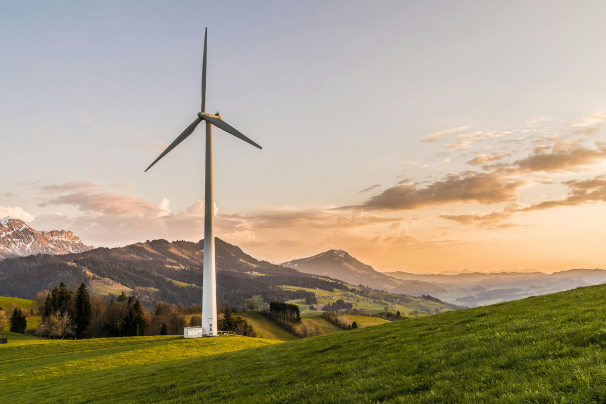 carbon neutral, wind turbine