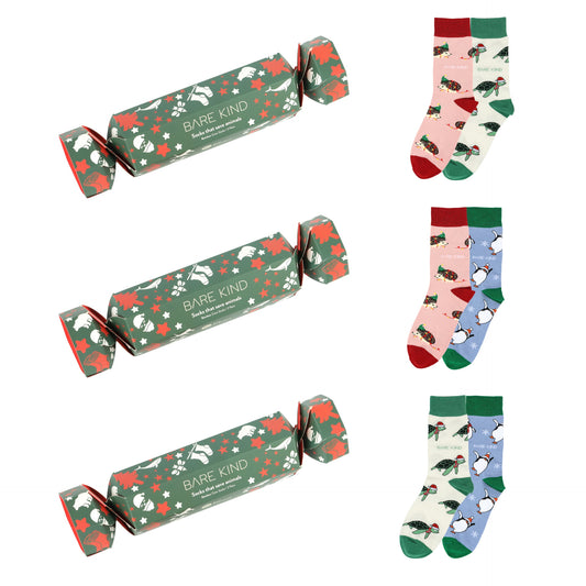 crackers and christmas hedgehog, penguin, turtle bamboo socks