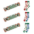 crackers and christmas hedgehog, penguin, turtle bamboo socks