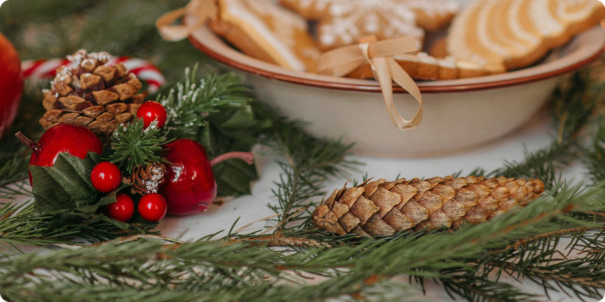 cones and red berries for Christmas decoration