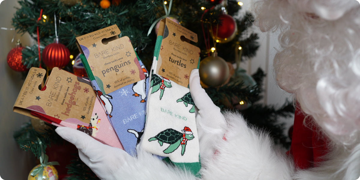 Santa holding Christmas pink hedgehog, blue penguin and cream green turtle bamboo socks in his hands 