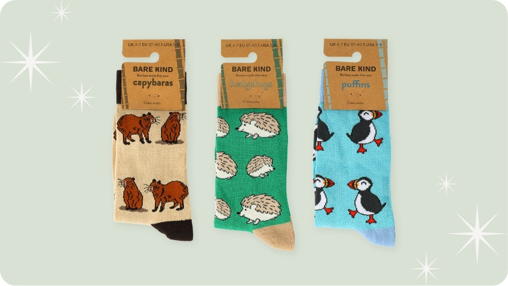 Three pairs of Bare Kind brand novelty socks displayed side-by-side on a light sage green background with white starburst graphics. The left pair is beige with brown capybara prints, the middle pair is green with white hedgehog prints, and the right pair is light blue with black and orange puffin prints.