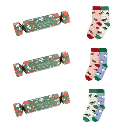 crackers and christmas hedgehog, penguin, turtle bamboo socks