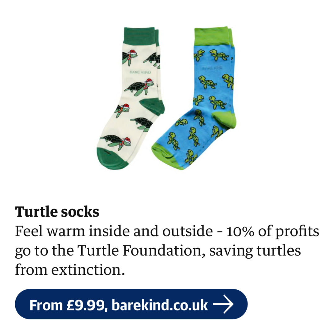 Bare Kind in the Guardian with turtle socks