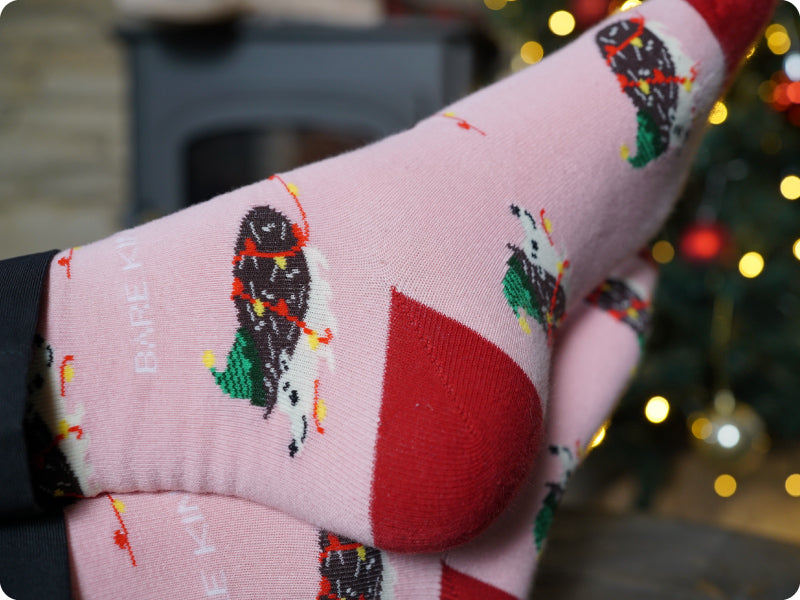 model wearing pink Christmas hedgehog bamboo socks