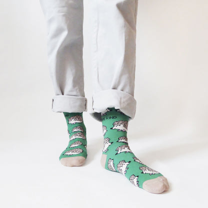 standing model wearing green bamboo hedgehog socks