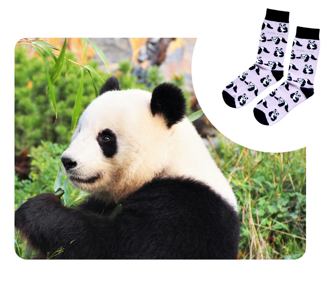 panda and purple panda bamboo socks