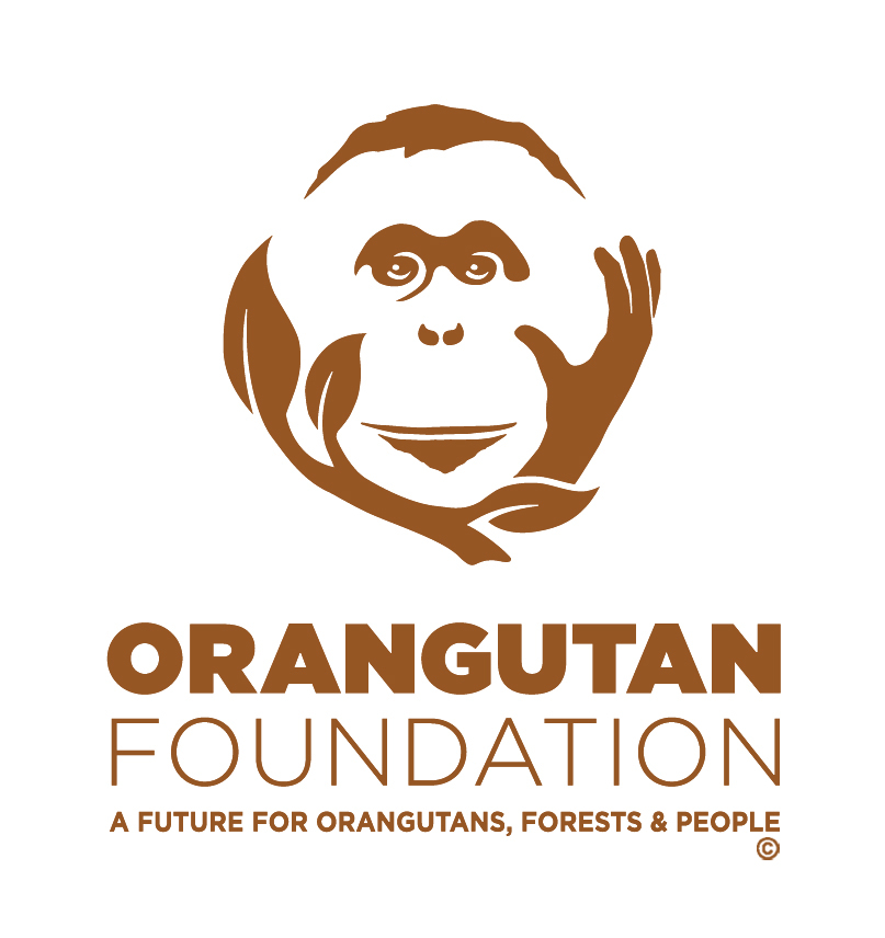 orangutan-foundation