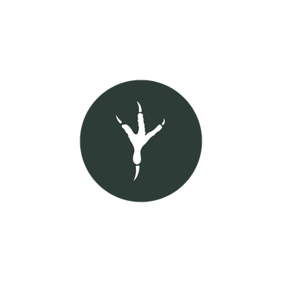 Dark green circle with a white bird silhouette inside on a white background