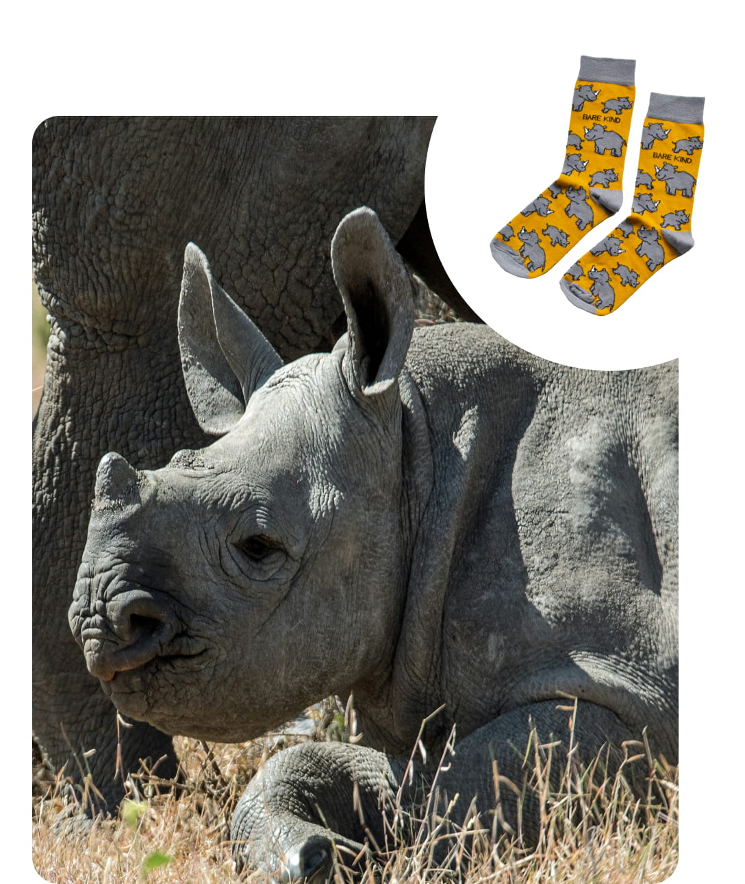 rhino and rhino socks