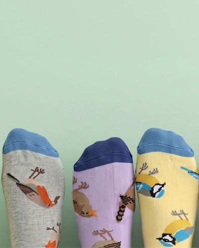 Three patterned socks displayed upright against a pale mint green background. The left sock is heather gray with a blue cuff and an orange-brown bird print; the center sock is lavender with a dark blue cuff and a brown-and-orange bird print; the right sock is pale yellow with a blue cuff and a blue-and-yellow bird print.