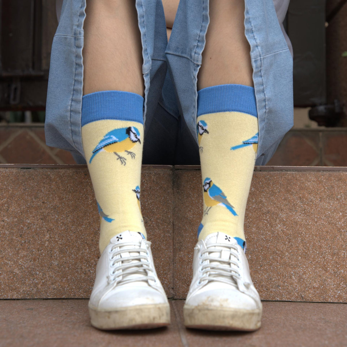 Blue tit socks