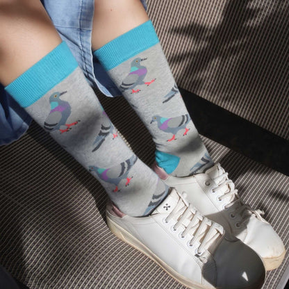pigeon socks