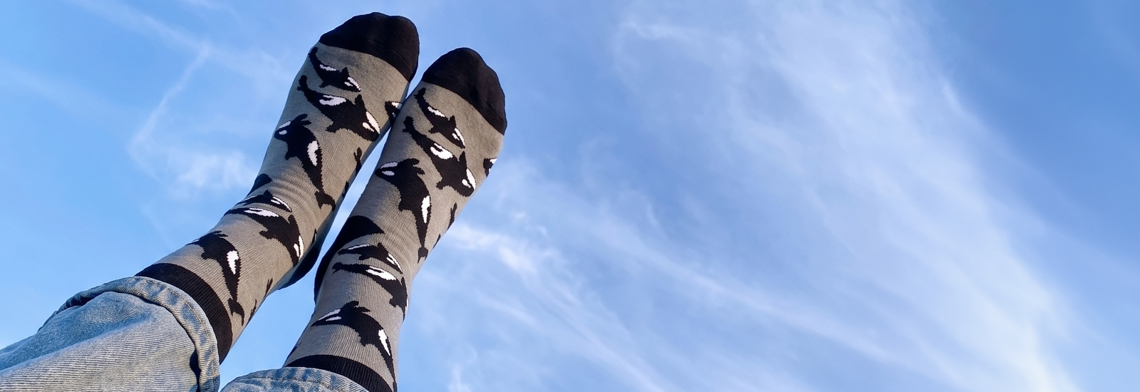 Person wearing socks with orca pattern against a blue sky