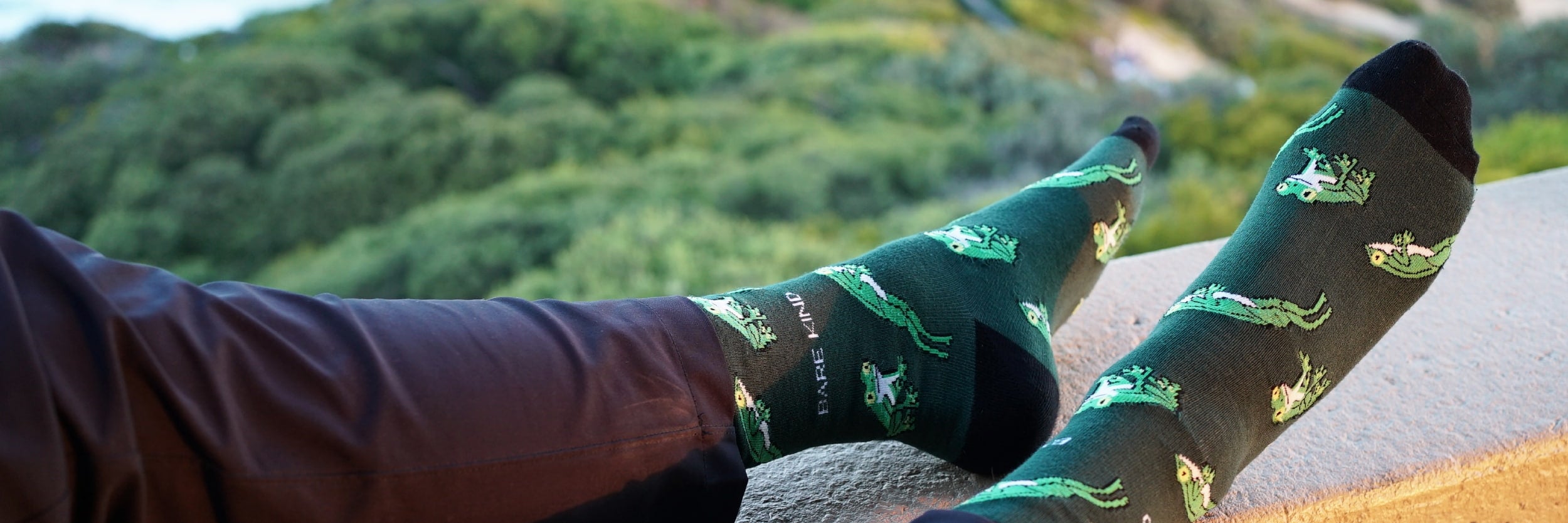 model wearing green tree frog bamboo socks