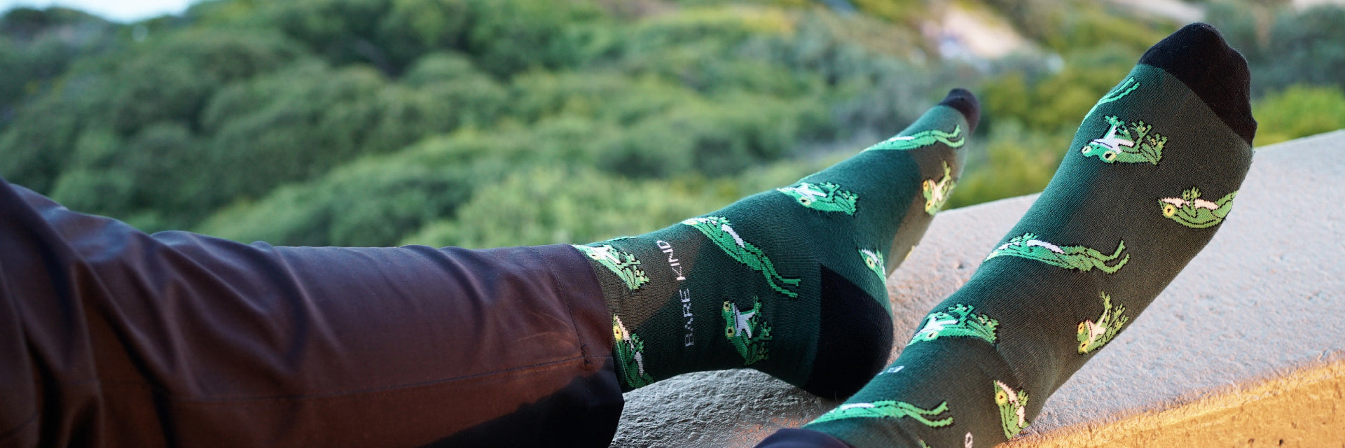 Bare Kind green tree frog bamboo socks