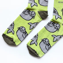 toe closeup flat lay of green seal socks