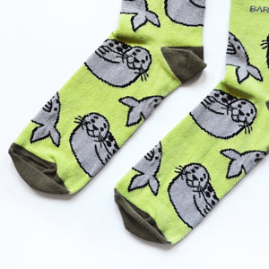 toe closeup flat lay of green seal socks