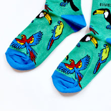 toe closeup flat lay of green and blue toucan bamboo socks