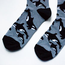 toe closeup flat lay of black and grey orca bamboo socks