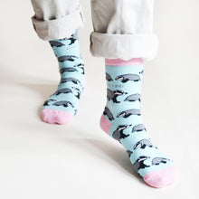 model wearing blue and pink badger socks, front angle view with the left foot forward and heel raised to showcase the badger print