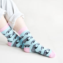 Save the Badgers Bamboo Socks